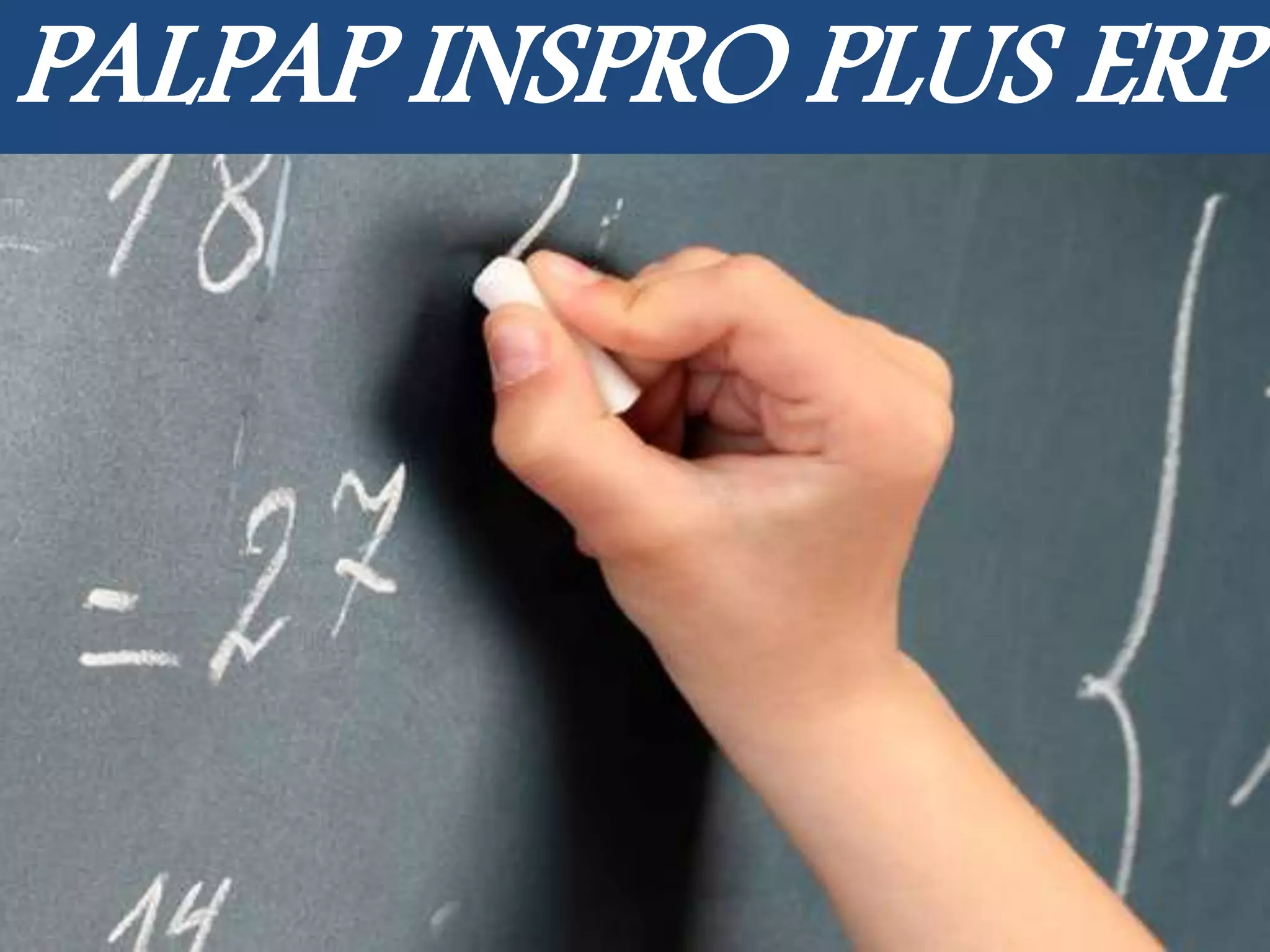 PALPAP INSPRO PLUS ERP