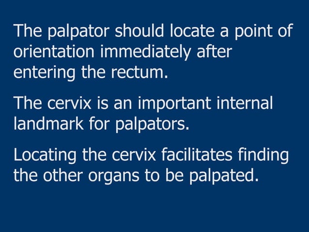 Palpation and pregnancy ppt [autosaved] | PPTX | Pregnancy ...