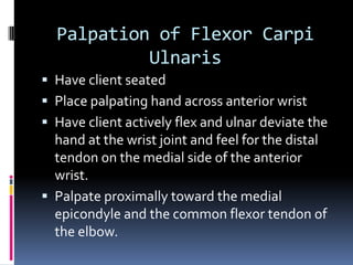 Palpation of Flexor Carpi UlnarisHave client seatedPlace palpating hand across anterior wristHave client actively flex and ulnar deviate the hand at the wrist joint and feel for the distal tendon on the medial side of the anterior wrist.Palpate proximally toward the medial epicondyle and the common flexor tendon of the elbow.