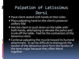 Have client seated with hands at their sides