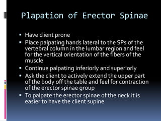 Rhomboid Major and MinorP:  SPs of C7-T5D:  Medial border of the scapula from the root of the spine of the scapula to the inferior angle of the scapulaRetracts (Adducts) the scapula at the scapulocostal jointElevates the scapula