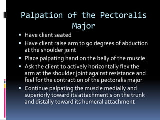 Erector Spinae GroupO:  PelvisI:  Spine, ribcage, and headExtends the trunk, neck, and the head at the spinal jointsLaterally flexes the trunk, neck, and head at the spinal jointsIpsilaterally rotates the trunk, neck, and head at the spinal jointsAnteriorly tilts the pelvis at the lumbosacral joint