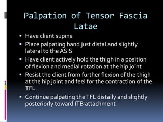 Place palpating hand on the lateral sacrum