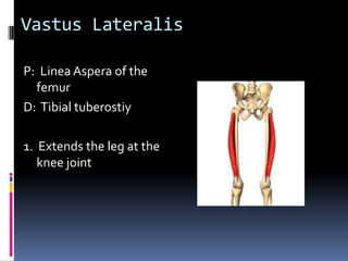 Have client side lying