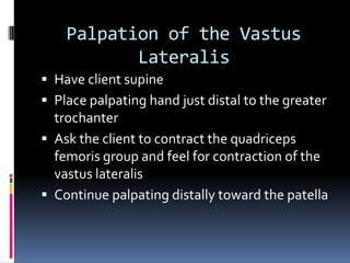 Middle portion:  Place palpating hand between the iliac crest and the greater trochanter of the femur.  Ask client to abduct the thigh at the hip joint