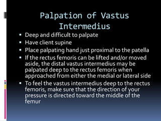 Tensor Fasciae Latae (TFL)P:  Anterior Superior Iliac SpineD:  Iliotibial band (ITB)Flexes the thigh at the hip jointAbducts the thigh at the hip jointMedially rotates the thigh at the hip jointAnteriorly tilts the pelvis at the hip joint