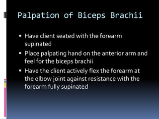 Palpation of Biceps BrachiiHave client seated with the forearm supinatedPlace palpating hand on the anterior arm and feel for the biceps brachiiHave the client actively flex the forearm at the elbow joint against resistance with the forearm fully supinated