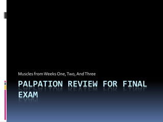 Palpation Review for Final Exam Muscles from Weeks One, Two, And Three 