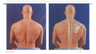 SAMPLE FOOTER TEXT 20XX 10
 