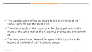  The superior angle of the scapula is found at the level of the Tl
spinous process and the second rib.
 The inferior angle of the scapula can be clearly palpated and is
found at the same level as the T7 spinous process and the seventh
rib.
 The triangular-shaped base of the spine of the scapula can be
located at the level of the T3 spinous process
SAMPLE FOOTER TEXT 20XX 11
 