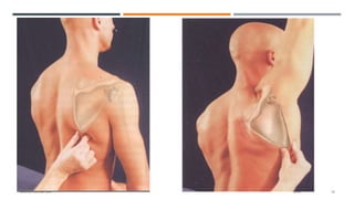 SAMPLE FOOTER TEXT 20XX 14
 