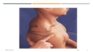 SAMPLE FOOTER TEXT 20XX 17
 