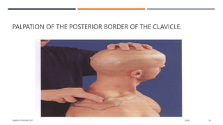 PALPATION OF THE POSTERIOR BORDER OF THE CLAVICLE.
SAMPLE FOOTER TEXT 20XX 19
 