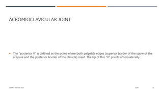 ACROMIOCLAVICULAR JOINT
 The "posterior V" is defined as the point where both palpable edges (superior border of the spine of the
scapula and the posterior border of the clavicle) meet. The tip of this "V" points anterolaterally.
SAMPLE FOOTER TEXT 20XX 20
 