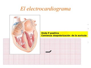 El electrocardiograma




                        16/11/2012
 