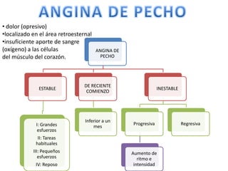 • dolor (opresivo)
•localizado en el área retroesternal
•insuficiente aporte de sangre
(oxígeno) a las células                ANGINA DE
del músculo del corazón.                 PECHO




                                 DE RECIENTE
              ESTABLE                                           INESTABLE
                                  COMIENZO




                                 Inferior a un
             I: Grandes                            Progresiva               Regresiva
                                     mes
              esfuerzos
              II: Tareas
             habituales
            III: Pequeños                          Aumento de
               esfuerzos                              ritmo e
             IV: Reposo                             intensidad
 