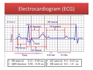 Electrocardiogram (ECG)
 