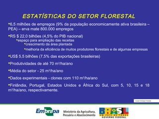 Equipe Embrapa Florestas
ESTATÍSTICAS DO SETOR FLORESTAL
6,5 milhões de empregos (9% da população economicamente ativa brasileira –
PEA) – erva mate 800.000 empregos
RS $ 22,0 bilhões (4,5% do PIB nacional)
espaço para ampliação das receitas
crescimento da área plantada
melhoria da eficiência de muitos produtores florestais e de algumas empresas
US$ 5,5 bilhões (7,5% das exportações brasileiras)
Produtividades de até 70 m3
/ha/ano
Média do setor - 25 m3
/ha/ano
Dados experimentais - clones com 110 m3
/ha/ano
Finlândia, Portugal, Estados Unidos e África do Sul, com 5, 10, 15 e 18
m3
/ha/ano, respectivamente.
 