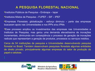 Equipe Embrapa Florestas
A PESQUISA FLORESTAL NACIONAL
Institutos Públicos de Pesquisa – Embrapa – Iapar
Institutos Mistos de Pesquisa – FUPEF – SIF – IPEF
Empresas Florestais: globalização - esforço diminuiu – parte das empresas
buscaram apoio nas Universidades e nos IPPs e/ou IPMs
Esse processo ampliou os investimentos das empresas nas Universidades e
Institutos de Pesquisa, mas gerou uma demanda elevadíssima de inovações
incrementais, diminuindo em conseqüência o processo de geração de inovações
radicais que representam a geração de produtos, processos ou serviços inéditos.
Cerca de 54 instituições de pesquisa e Universidades desenvolvendo pesquisa
florestal no Brasil. Também desenvolvem pesquisas florestais algumas entidades
de direito privado, principalmente algumas empresas do setor de produção de
papel e celulose.
[
 