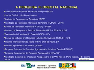 Equipe Embrapa Florestas
A PESQUISA FLORESTAL NACIONAL
Laboratório de Produtos Florestais (LPF) do IBAMA
Jardim Botânico do Rio de Janeiro
Instituto de Pesquisas da Amazônia (INPA)
Fundação de Pesquisas Florestais do Paraná (FUPEF) - UFPR
Centro de Pesquisas Florestais (CEPEF) – UFSM
Instituto de Pesquisas e Estudos Florestais (IPEF) – ESALQU/USP
Sociedade de Investigação Florestal (SIF) – UFV
Centro de Estudos em Recursos Naturais Renováveis (CERNE) – UFL
Instituto Florestal de São Paulo (IFSP), em São Paulo, SP
Instituto Agronômico do Paraná (IAPAR)
Empresa Estadual de Pesquisa Agropecuária de Minas Gerais (EPAMIG)
Empresa Catarinense de Pesquisa Agropecuária (EPAGRI)
Fundação Estadual de Pesquisa Agropecuária (FEPAGRO) em Porto Alegre, RS, dentre
outros.
 