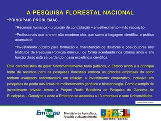 Equipe Embrapa Florestas
A PESQUISA FLORESTAL NACIONAL
PRINCIPAIS PROBLEMAS
Recursos humanos - proibição de contratação – envelhecimento – não reposição
Profissionais que entram não recebem dos que saem a bagagem científica e prática
acumulada
Investimento público para formação e manutenção de doutores e pós-doutores nos
Institutos de Pesquisa Públicos diminuiu de forma acentuada nos últimos anos e em
função disso está se perdendo nossa excelência científica.
Pela característica de gerar fundamentalmente bens públicos, o Estado ainda é a principal
fonte de recursos para as pesquisas florestais embora as grandes empresas do setor
tenham avançado sobremaneira em relação a investimento cooperativo, inclusive em
pesquisas de ponta nas áreas de melhoramento genético e biotecnologia. Como exemplo de
investimento privado temos o Projeto Rede Brasileira de Pesquisa do Genoma de
Eucalyptus – Genolyptus onde a Embrapa se associou a 13 empresas e sete Universidades
 