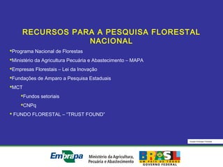 Equipe Embrapa Florestas
RECURSOS PARA A PESQUISA FLORESTAL
NACIONAL
Programa Nacional de Florestas
Ministério da Agricultura Pecuária e Abastecimento – MAPA
Empresas Florestais – Lei da Inovação
Fundações de Amparo a Pesquisa Estaduais
MCT
Fundos setoriais
CNPq
 FUNDO FLORESTAL – “TRUST FOUND”
 