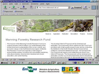 Equipe Embrapa Florestas
 