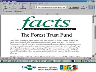 Equipe Embrapa Florestas
 