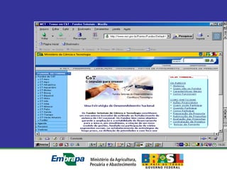 Equipe Embrapa Florestas
 