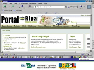 Equipe Embrapa Florestas
 