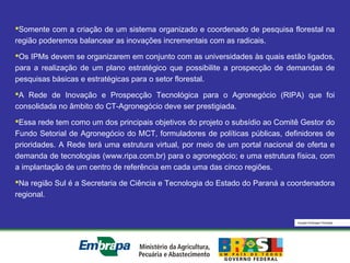 Equipe Embrapa Florestas
Somente com a criação de um sistema organizado e coordenado de pesquisa florestal na
região poderemos balancear as inovações incrementais com as radicais.
Os IPMs devem se organizarem em conjunto com as universidades às quais estão ligados,
para a realização de um plano estratégico que possibilite a prospecção de demandas de
pesquisas básicas e estratégicas para o setor florestal.
A Rede de Inovação e Prospecção Tecnológica para o Agronegócio (RIPA) que foi
consolidada no âmbito do CT-Agronegócio deve ser prestigiada.
Essa rede tem como um dos principais objetivos do projeto o subsídio ao Comitê Gestor do
Fundo Setorial de Agronegócio do MCT, formuladores de políticas públicas, definidores de
prioridades. A Rede terá uma estrutura virtual, por meio de um portal nacional de oferta e
demanda de tecnologias (www.ripa.com.br) para o agronegócio; e uma estrutura física, com
a implantação de um centro de referência em cada uma das cinco regiões.
Na região Sul é a Secretaria de Ciência e Tecnologia do Estado do Paraná a coordenadora
regional.
 