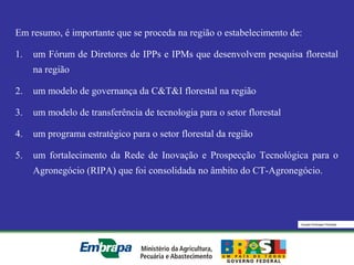 Equipe Embrapa Florestas
Em resumo, é importante que se proceda na região o estabelecimento de:
1. um Fórum de Diretores de IPPs e IPMs que desenvolvem pesquisa florestal
na região
2. um modelo de governança da C&T&I florestal na região
3. um modelo de transferência de tecnologia para o setor florestal
4. um programa estratégico para o setor florestal da região
5. um fortalecimento da Rede de Inovação e Prospecção Tecnológica para o
Agronegócio (RIPA) que foi consolidada no âmbito do CT-Agronegócio.
 