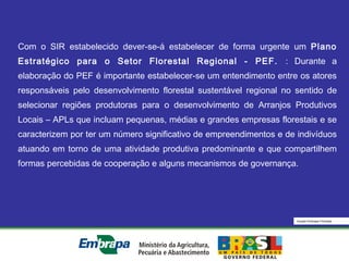 Equipe Embrapa Florestas
Com o SIR estabelecido dever-se-á estabelecer de forma urgente um Plano
Estratégico para o Setor Florestal Regional - PEF. : Durante a
elaboração do PEF é importante estabelecer-se um entendimento entre os atores
responsáveis pelo desenvolvimento florestal sustentável regional no sentido de
selecionar regiões produtoras para o desenvolvimento de Arranjos Produtivos
Locais – APLs que incluam pequenas, médias e grandes empresas florestais e se
caracterizem por ter um número significativo de empreendimentos e de indivíduos
atuando em torno de uma atividade produtiva predominante e que compartilhem
formas percebidas de cooperação e alguns mecanismos de governança.
 