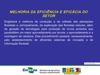 Equipe Embrapa Florestas
MELHORIA DA EFICIÊNCIA E EFICÁCIA DO
SETOR
Englobará a melhoria da condução e da colheita das plantações
florestais e, principalmente, da exploração das florestas naturais, além
da geração de tecnologias para produção de novos produtos que
possibilitem um maior aproveitamento por árvore, o aproveitamento e a
reciclagem de resíduos. Este procedimento passará, necessariamente,
pelo estabelecimento de eficientes sistemas de inovação e de
informação florestal.
 