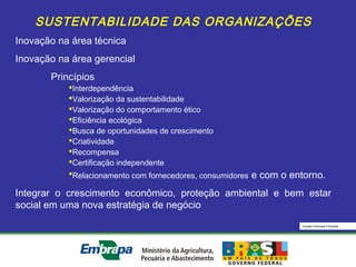 Equipe Embrapa Florestas
SUSTENTABILIDADE DAS ORGANIZAÇÕES
Inovação na área técnica
Inovação na área gerencial
Princípios
Interdependência
Valorização da sustentabilidade
Valorização do comportamento ético
Eficiência ecológica
Busca de oportunidades de crescimento
Criatividade
Recompensa
Certificação independente
Relacionamento com fornecedores, consumidores e com o entorno.
Integrar o crescimento econômico, proteção ambiental e bem estar
social em uma nova estratégia de negócio
 