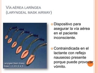 VÍA AÉREA LARÍNGEA
(LARYNGEAL MASK AIRWAY)
 Dispositivo para
asegurar la vía aérea
en el paciente
inconsciente.
 Contraindicada en el
lactante con reflejo
nauseoso presente
porque puede provocar
vómito.
 