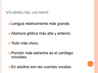VÍA AÉREA DEL LACTANTE
 Lengua relativamente más grande.
 Abertura glótica más alta y anterior.
 Todo más chico.
 Porción más estrecha es el cartílago
cricoides.
 En adultos son las cuerdas vocales.
 