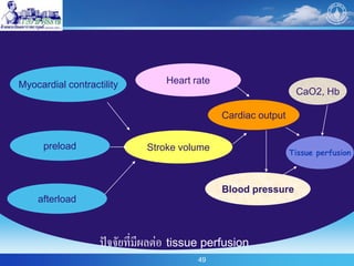 49
Myocardial contractility
preload
afterload
Stroke volume
Heart rate
Cardiac output
Tissue perfusion
Blood pressure
ปัจจัยที่มีผลต่อ tissue perfusion
CaO2, Hb
 