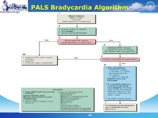 65
PALS Bradycardia Algorithm
 