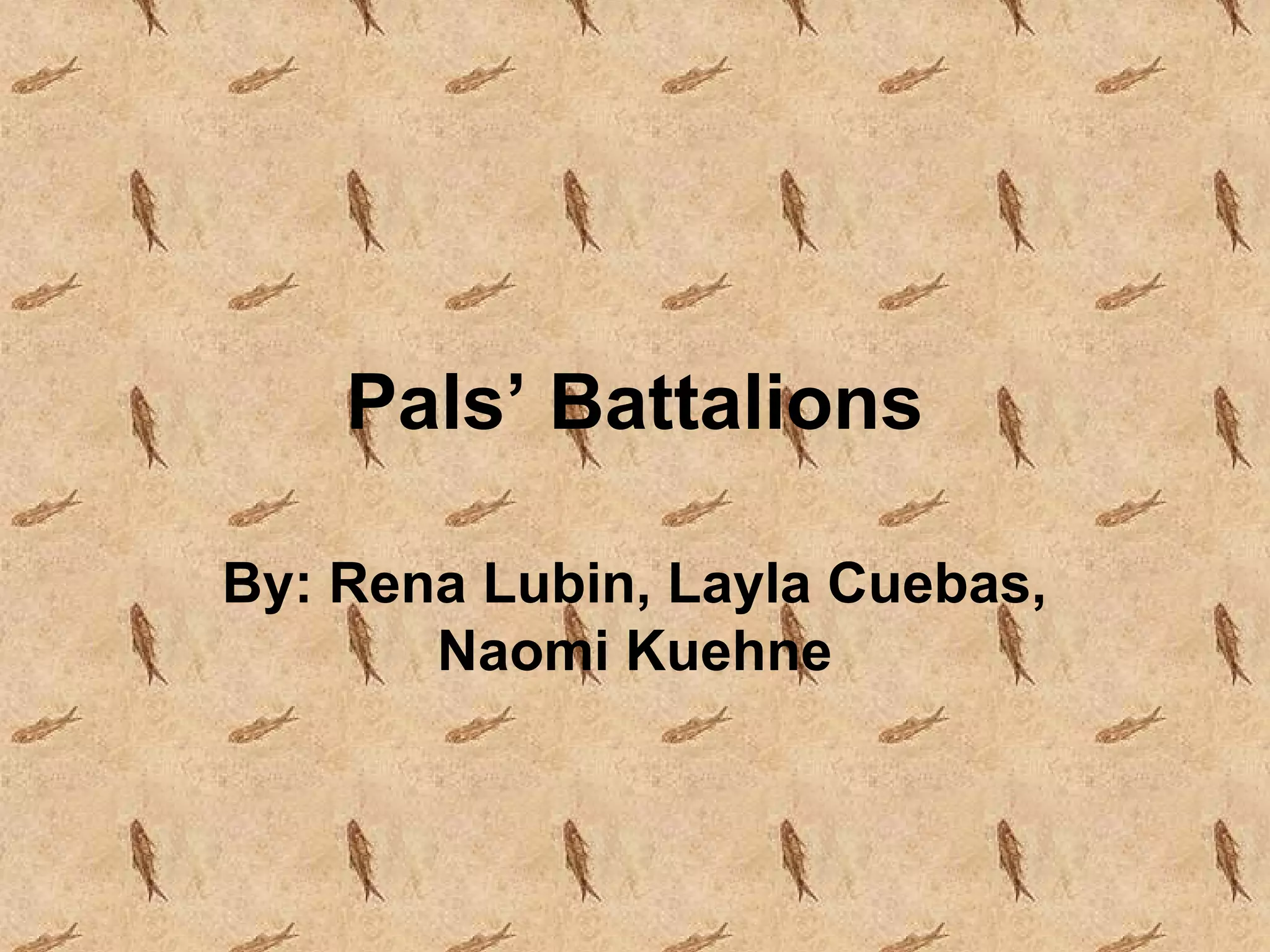 Pals’ battalions PPT