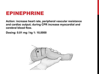 EPINEPHRINE
Action: increase heart rate, peripheral vascular resistance
and cardiac output; during CPR increase myocardial and
cerebral blood flow.
Dosing: 0.01 mg / kg 1: 10,0000
 