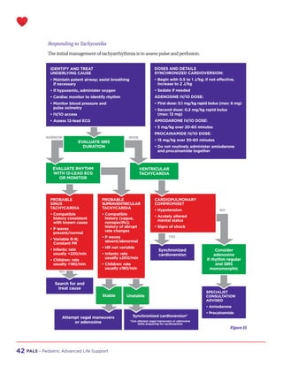 Reanimacion Cardiopulmonar en Pediatria - PALS_Handbook.pdf