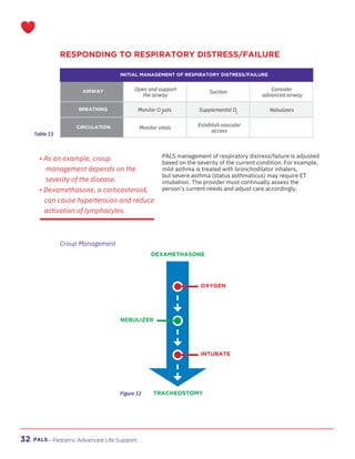 PALS_Handbook, libro actualizado para descargar | PDF