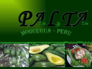 PALTA MOQUEGUA - PERU 