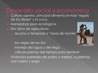 Desarrollo social y económicoCultura agraria, principal alimento el maíz "regalo de los dioses" y la yuca. Manejaban pisos ecológicos Dos tipos de agricultura; secano o temporal o “rosas de monte”las vegas de los ríos Manejo del agua y del riego