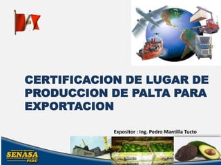CERTIFICACION DE LUGAR DE
PRODUCCION DE PALTA PARA
EXPORTACION

            Expositor : Ing. Pedro Mantilla Tucto
 