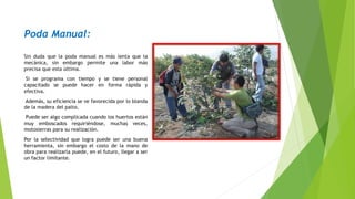 Poda Manual:
Sin duda que la poda manual es más lenta que la
mecánica, sin embargo permite una labor más
precisa que esta última.
Si se programa con tiempo y se tiene personal
capacitado se puede hacer en forma rápida y
efectiva.
Además, su eficiencia se ve favorecida por lo blanda
de la madera del palto.
Puede ser algo complicada cuando los huertos están
muy emboscados requiriéndose, muchas veces,
motosierras para su realización.
Por la selectividad que logra puede ser una buena
herramienta, sin embargo el costo de la mano de
obra para realizarla puede, en el futuro, llegar a ser
un factor limitante.
 