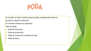En el palto se tienen muchos tipos de podas, persiguiendo cada uno
de ellos un objetivo diferente.
En resumen tenemos los siguientes
Tipos de poda.
 Poda de formación.
 Poda de producción.
 Poda de renovación o cambio de copa
 Poda sanitaria.
 