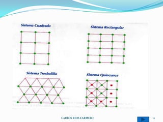 CARLOS RIOS CARMELO   12
 