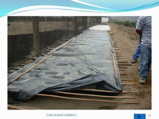 CARLOS RIOS CARMELO   20
 